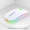 Silent Silent Laptop Gaming Girl Mouse - Bold&Bright Silent Silent Laptop Gaming Girl Mouse White-Dual-template  Bold&Bright 22.06