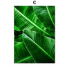 Home Decor Green Plant Canvas Painting - Bold&Bright Home Decor Green Plant Canvas Painting C-60x80cm  Bold&Bright 24.22