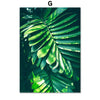 Home Decor Green Plant Canvas Painting - Bold&Bright Home Decor Green Plant Canvas Painting G-60x80cm  Bold&Bright 24.22