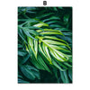 Home Decor Green Plant Canvas Painting - Bold&Bright Home Decor Green Plant Canvas Painting B-60x80cm  Bold&Bright 24.22